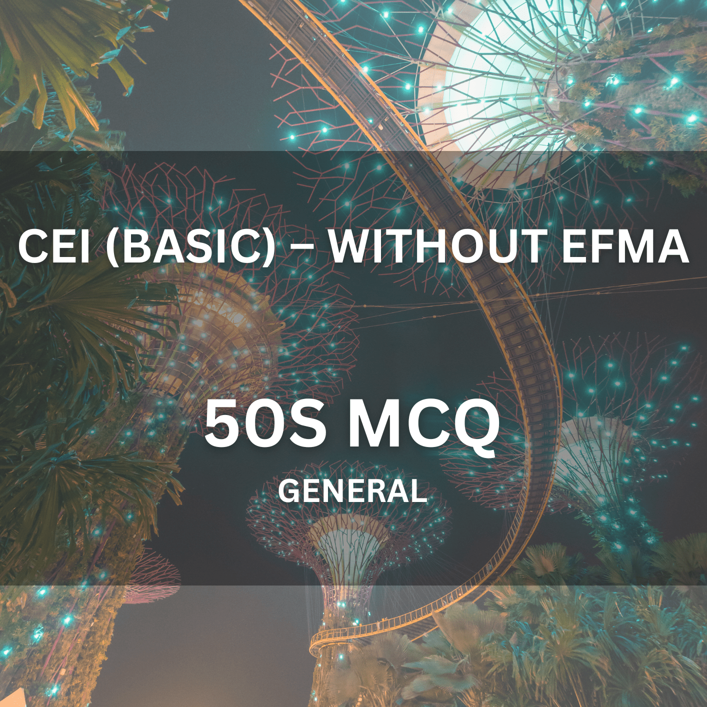 Comprehensive Licence (Local) – Basic MCQ (1 Hour | 50 Questions) - CEI Exams - Practice Questions