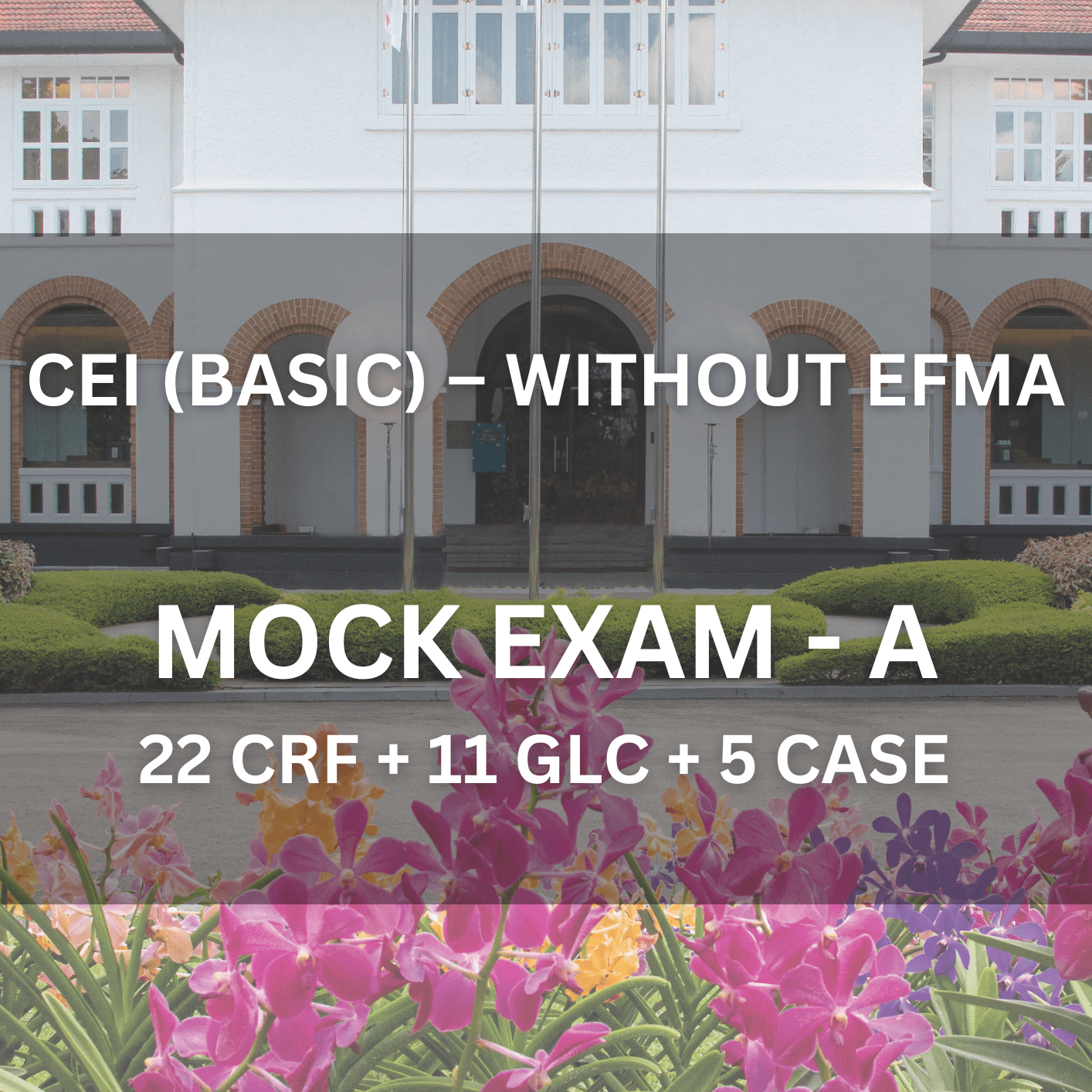 Comprehensive Licence (Local) – Basic Mock Exam A (1 Hour | 38 Questions) - CEI Exams - Mock Exam