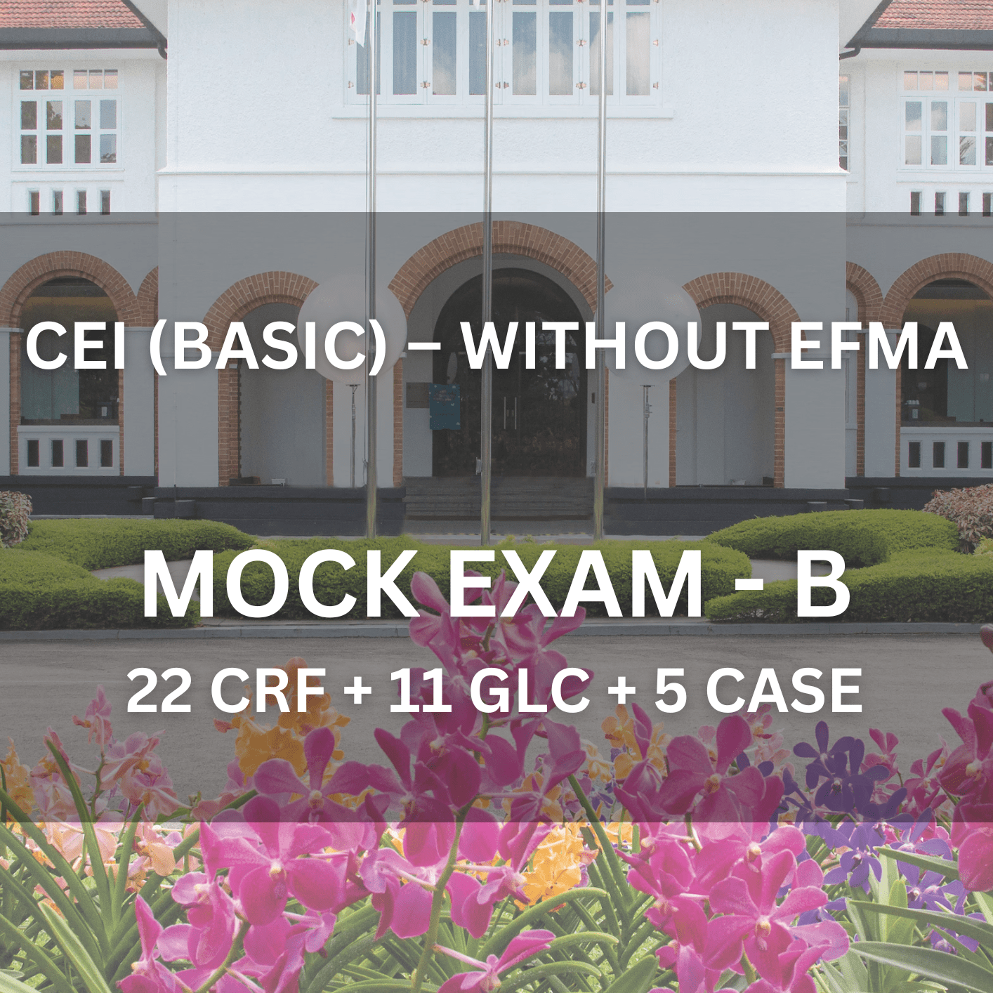 Comprehensive Licence (Local) – Basic Mock Exam B (1 Hour | 38 Questions) - CEI Exams - Mock Exam