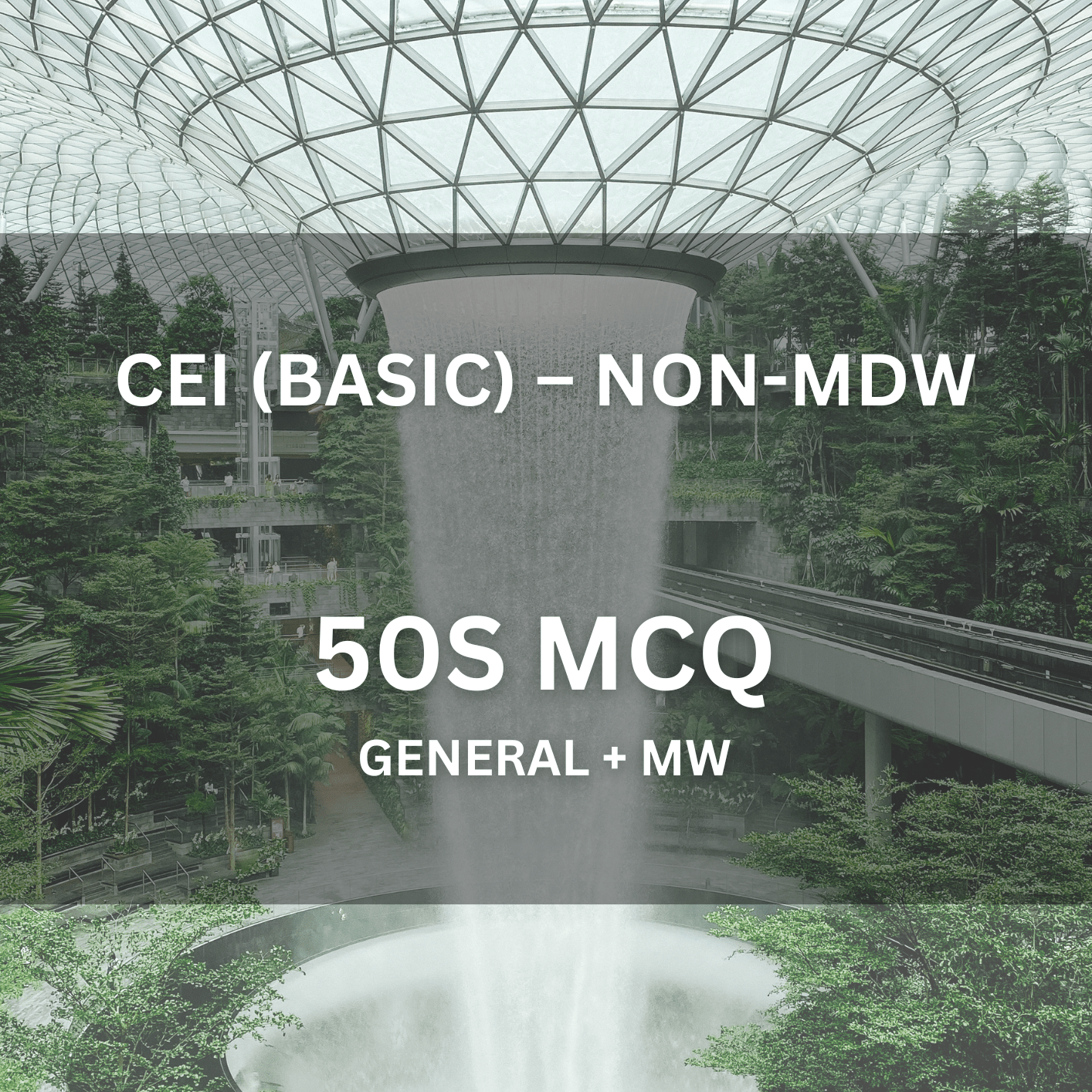 Comprehensive Licence (Non - MDW) – Basic MCQ (1 Hour 15 Mins | 50 Questions) - CEI Exams - Practice Questions
