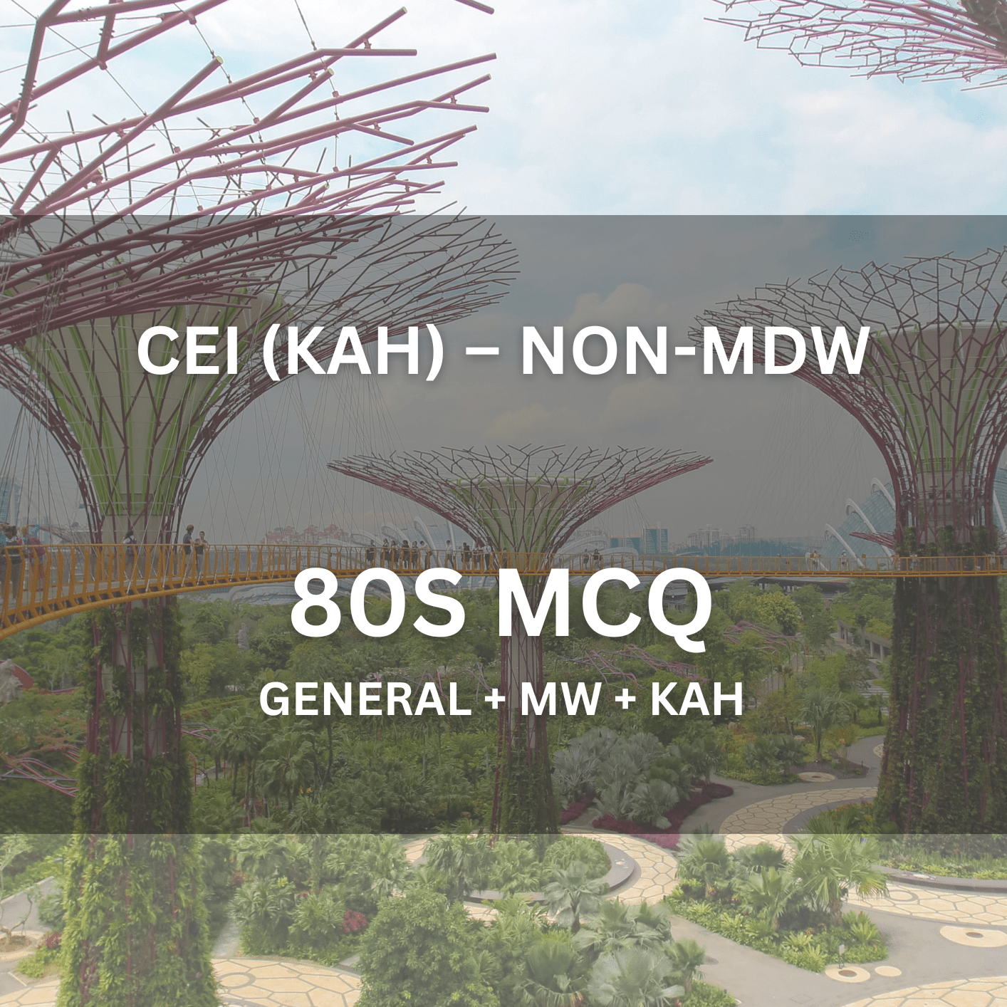 Comprehensive Licence (Non - MDW) – KAH MCQ (2 Hours | 80 Questions) - CEI Exams - Practice Questions